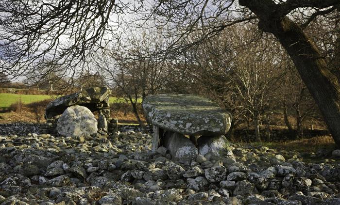 Dyffryn Ardudwy Burial Chamber